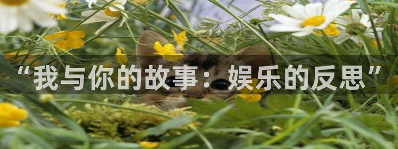 彩神vii官方：“我与你的故事：娱乐的反思”