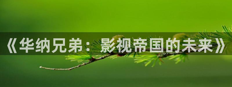 彩神vii官方：《华纳兄弟：影视帝国的未来》