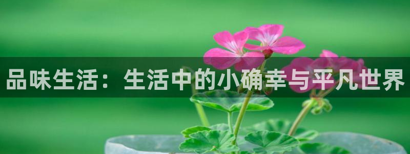 彩神vii官方：品味生活：生活中的小确幸与平凡世界
