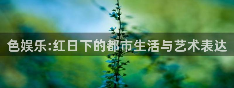 彩神vii官方：色娱乐:红日下的都市生活与艺术表达