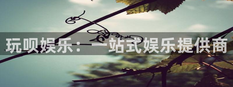 彩神vii官方：玩呗娱乐：一站式娱乐提供商