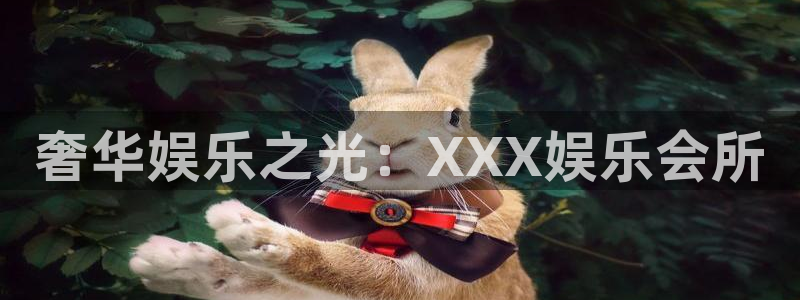 彩神vii官方：奢华娱乐之光：XXX娱乐会所