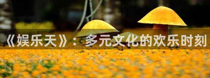 彩神vii官方：《娱乐天》：多元文化的欢乐时刻