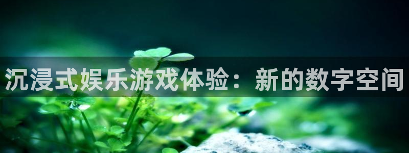 彩神vii官方：沉浸式娱乐游戏体验：新的数字空间